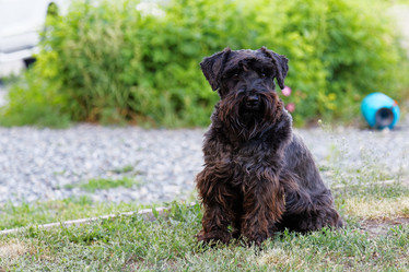 Similar image 17238128