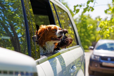 Similar image 17238162