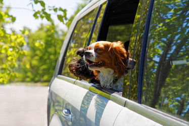 Similar image 17238163