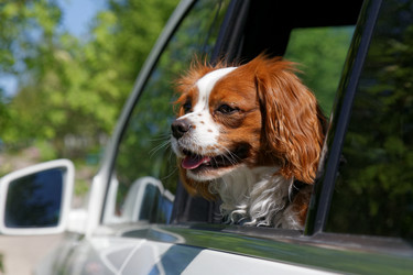 Similar image 17238168