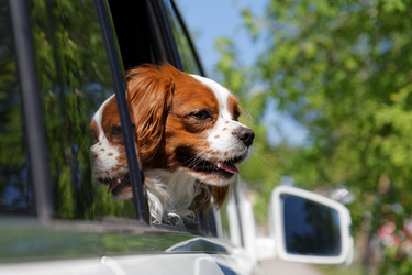 Similar image 17238173