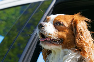 Similar image 17238175