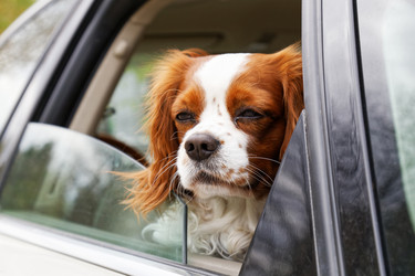 Similar image 17238177