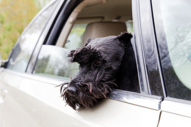 Similar image 17238179