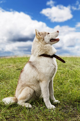 Similar image 17238192