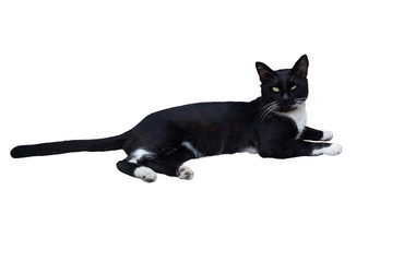 Similar image 16926539