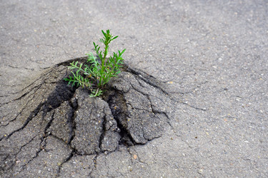 Similar image 16926540