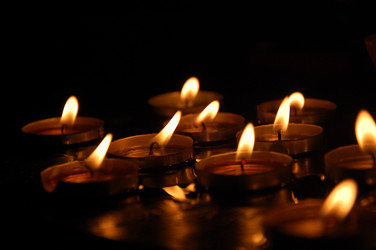 Similar image 17542984