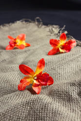 Similar image 16926566