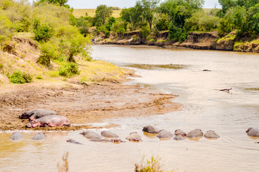 Similar image 17544227