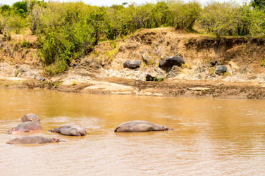 Similar image 17544249