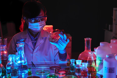 Similar image 16927535