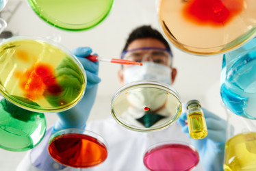 Similar image 16927543