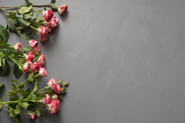 Similar image 16926023