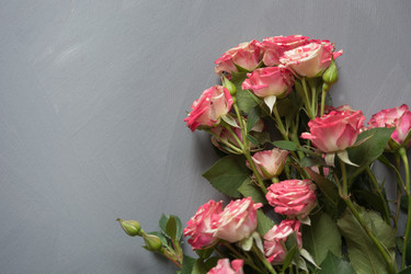 Similar image 16926057