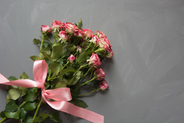 Similar image 16926061