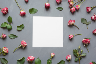 Similar image 16926106