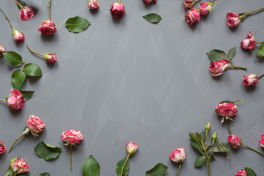 Similar image 16926094