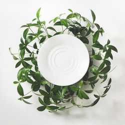 Similar image 16926099