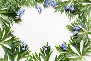 Similar image 16926121