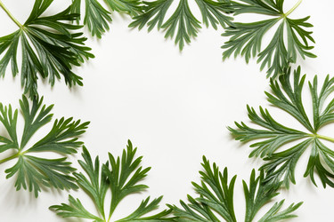 Similar image 16926122