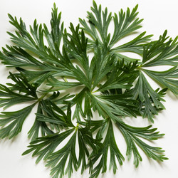 Similar image 16926123