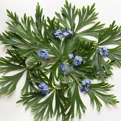 Similar image 16926124