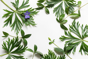 Similar image 16926125