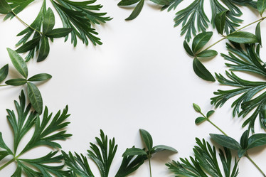 Similar image 16926127