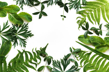 Similar image 16926128