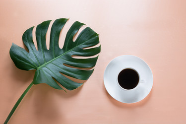 Similar image 16933571