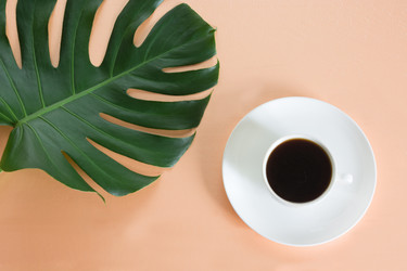 Similar image 16933572