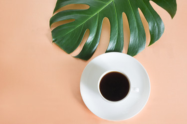 Similar image 16933573