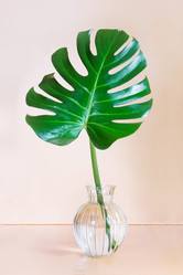 Similar image 16933575