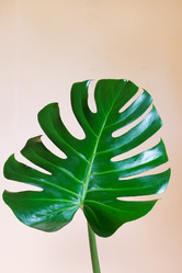 Similar image 16933576