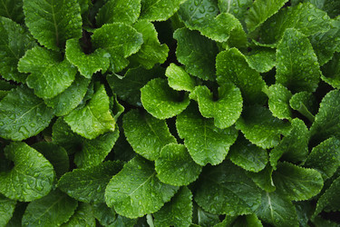 Similar image 16933578