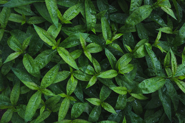 Similar image 16933580