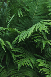 Similar image 16933583