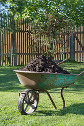 Similar image 16934068