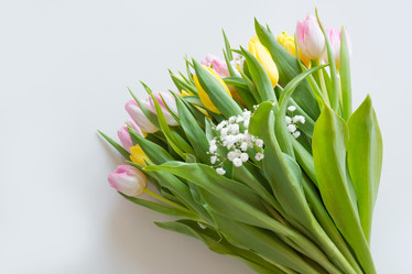 Similar image 16935448