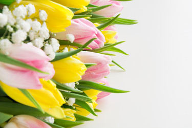 Similar image 16935456