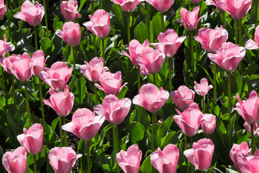 Similar image 16935484