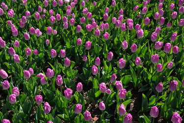 Similar image 16935512