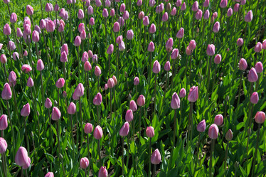 Similar image 16935527