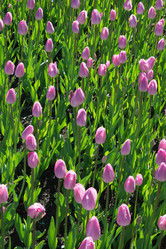 Similar image 16935548