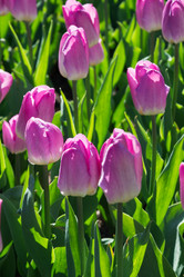 Similar image 16935561