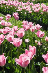 Similar image 16935656