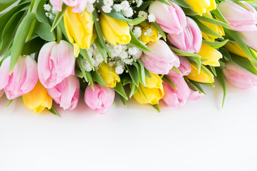 Similar image 16935659