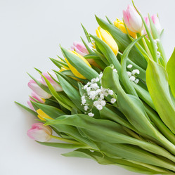 Similar image 16935661