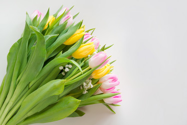 Similar image 16935662